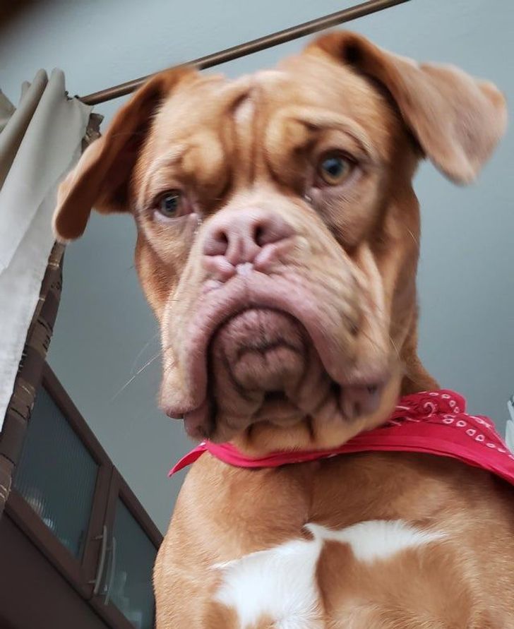 673cf9518eac132e91291719d8