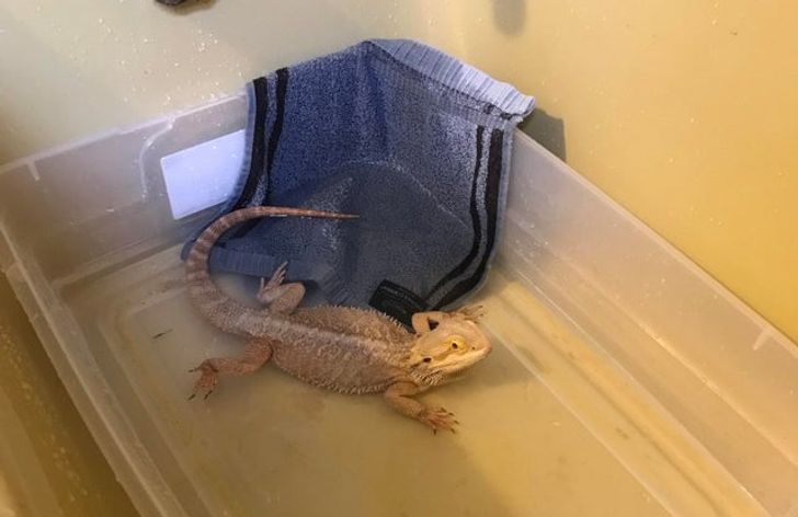 6743295e87b765fd5b5a5b00e6