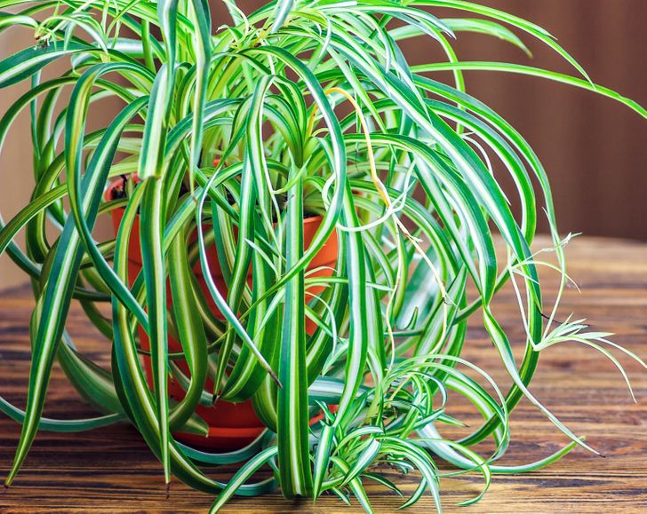 6746c05d10b5e992f6e68aac44