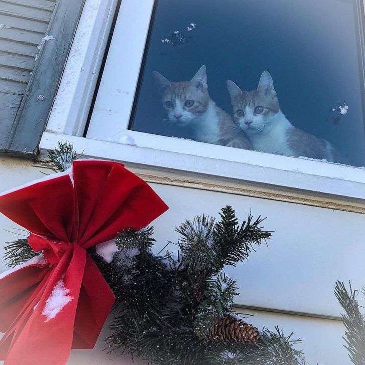 6747e759849b24304383938097