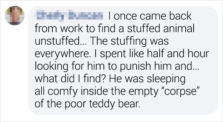 674de650af87ad4cb7a98f4a6b