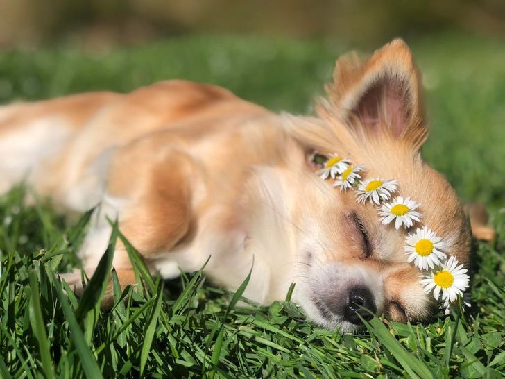 674e1151db8e16b6a8d4e3318b