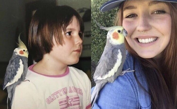 675f4056a2a2f110759fe2e4c9