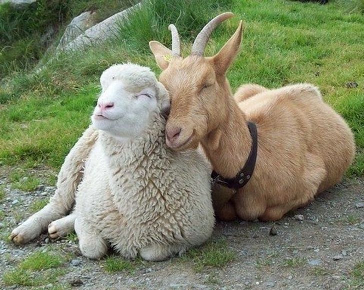 6762ba5ac18434072b81770f5f