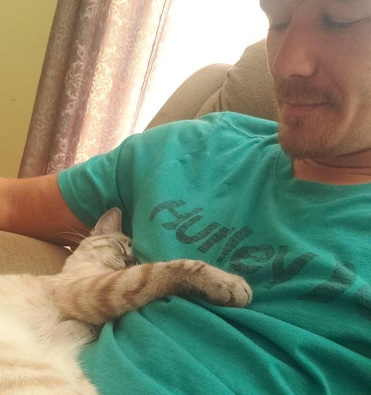 6764ce5fa1b06e7f317f5c3f88