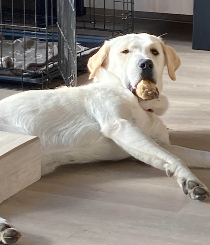 67673559228d5c935071183476 67673559228d5c935071183476