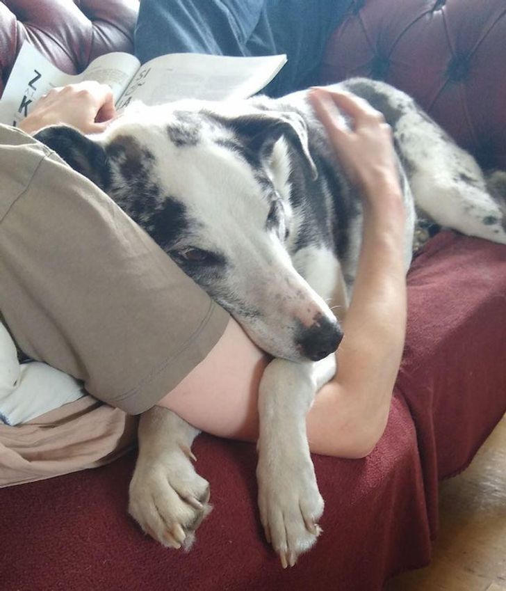 67722a5815a248ab6a1fbe7480