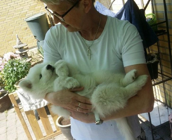 6779255b0db336b7fce86cef3c