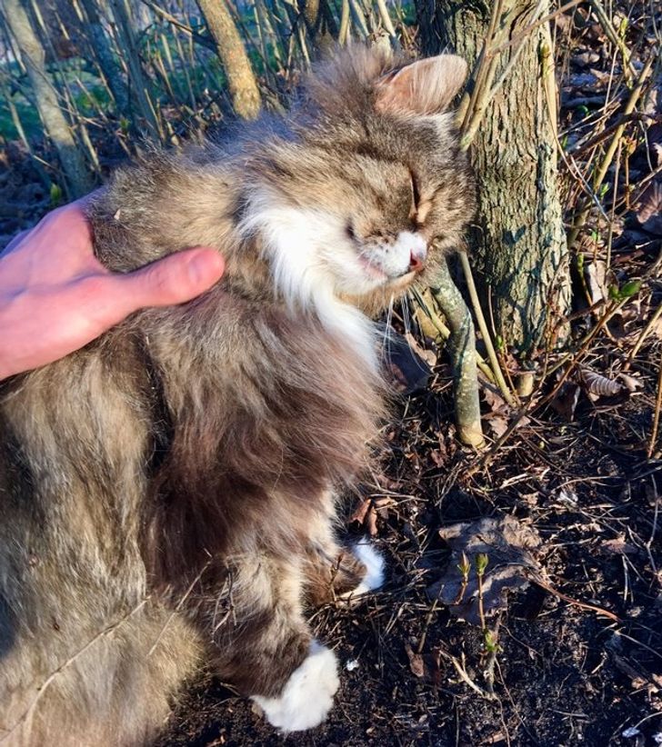 677a8559fc88009fa1902e6f40