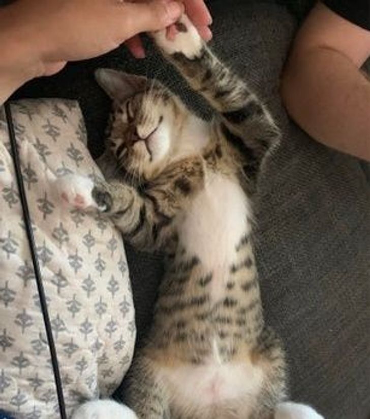 677b5056e4ad3f33134f9deee8