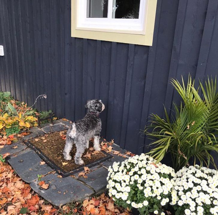 677cf1515eb16c8718368459ba