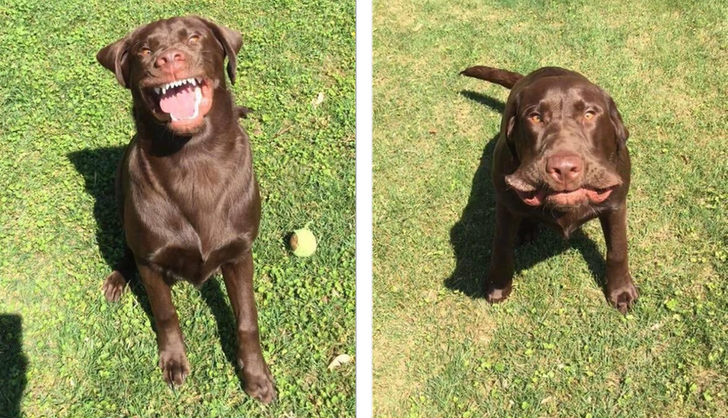 677e5759cebd944339d0dbc8c9