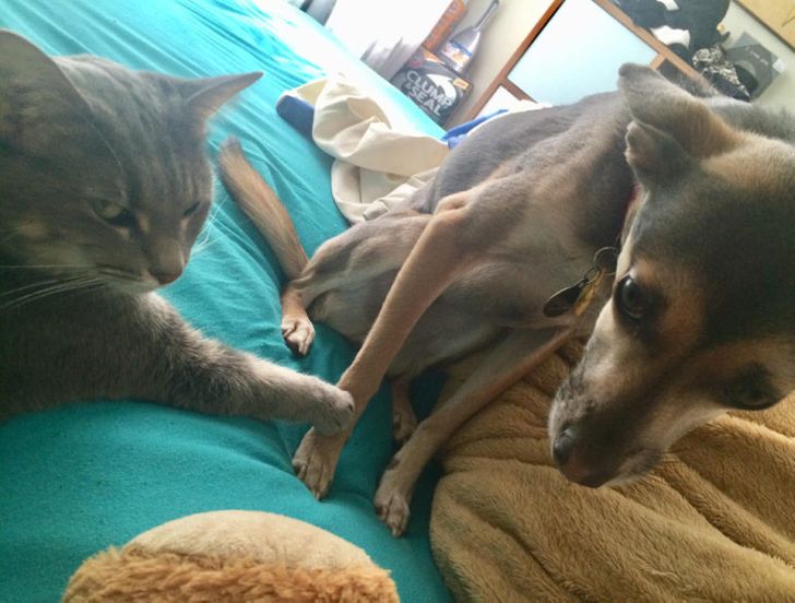 6783f25e9286e702e36e36041f