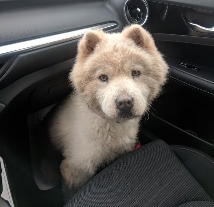 678a7d529c8537976b16f93ee1