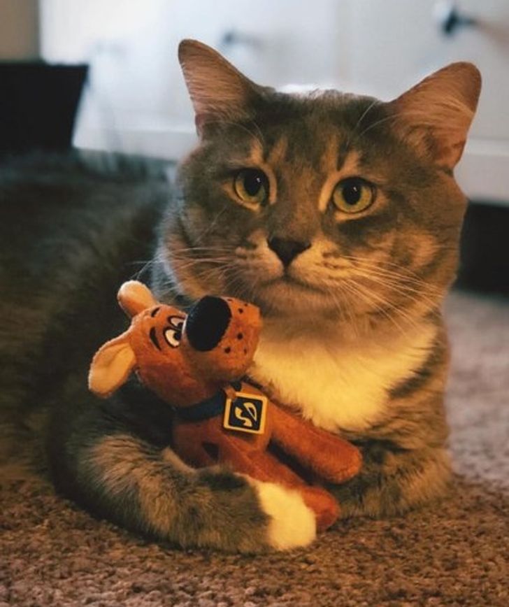 678d8459b283cbe2cf536ecaf1