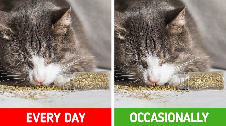 67977f5d74be8839583132a68f