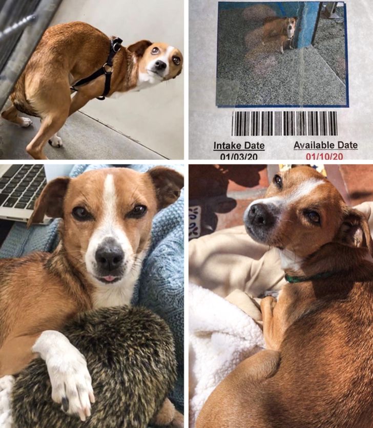 67983859cbb1236aafc1550e0e