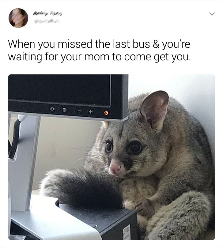 679a9a52f5b22feaf2f9b4440b