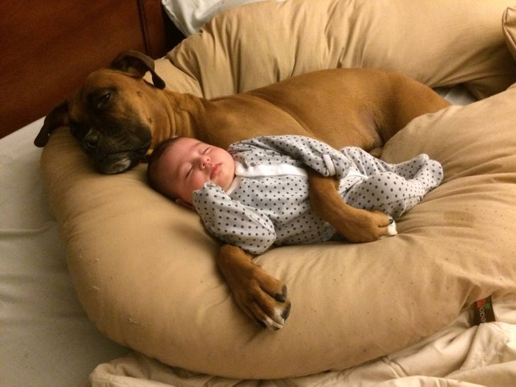 67ad1f555dbf9e53d7993604f5