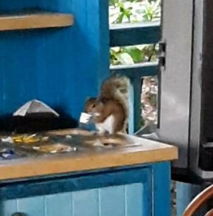 67ae915c0ab0f54e3f610b3f2d 67ae915c0ab0f54e3f610b3f2d