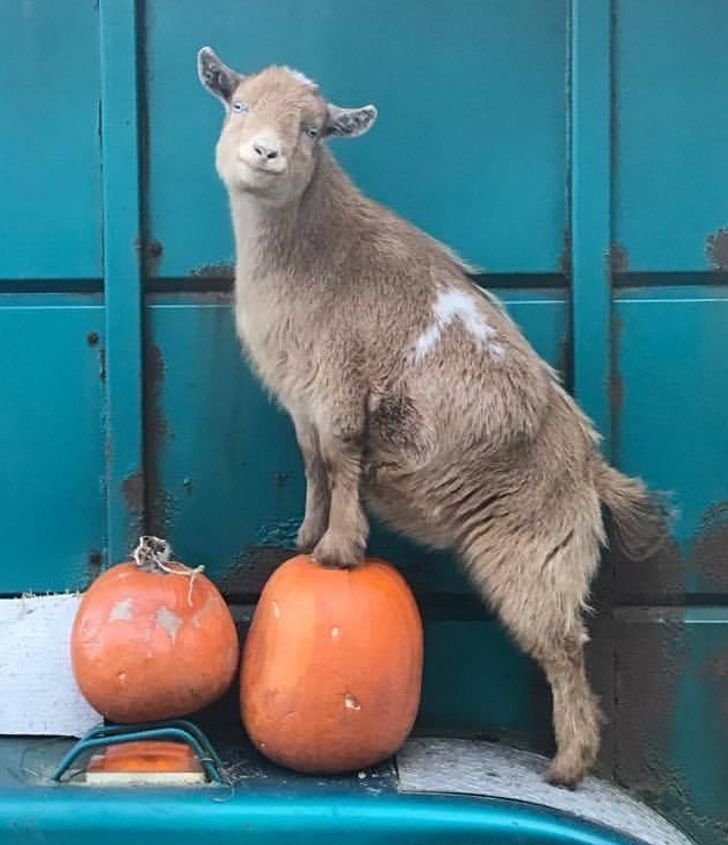 67bb705506a50bcff72977cb41