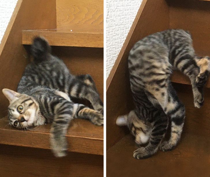 67bf7c55af9fa13d01836e213d