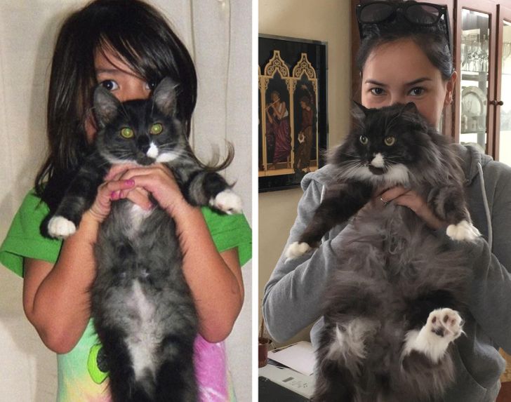 67d0885686b1014bce4f8c16a5