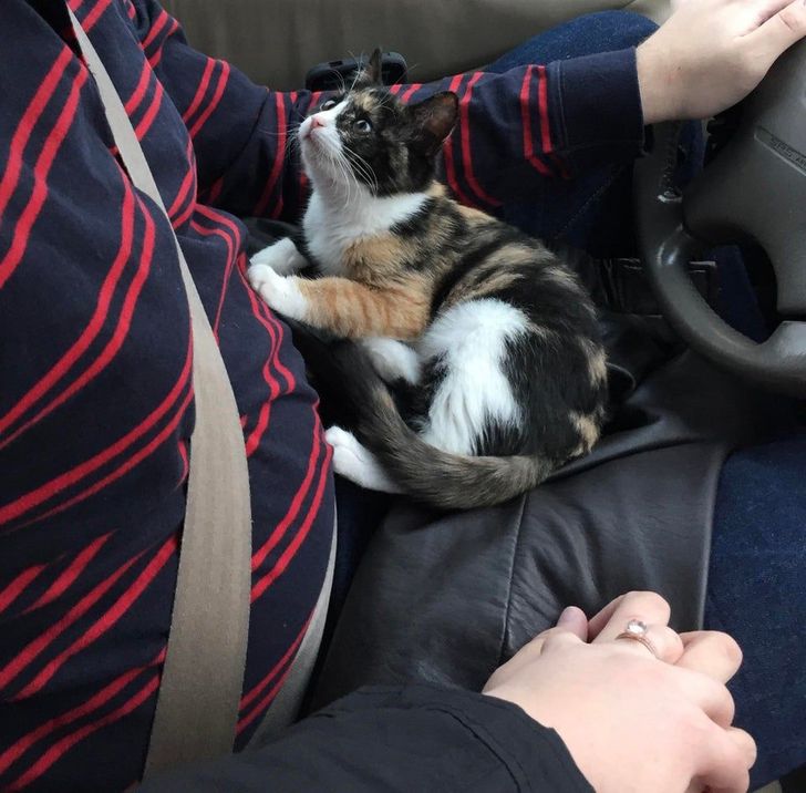 67d1365619bff17aa1b77d9f37