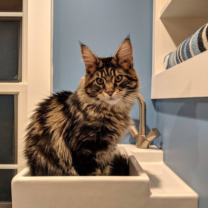 67d8c75116adbd68095131b4bd