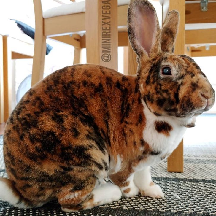 67e8ad54c6a5c26a1087dcb02a