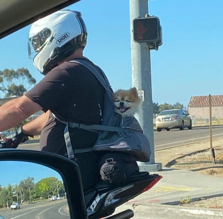 67ebb9522fb54116b90b839cf3