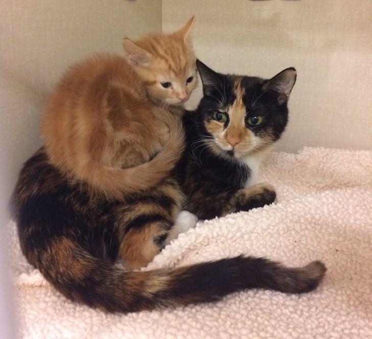 67eff758dfb2956c5006fd476e