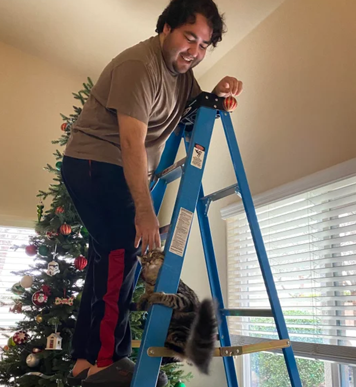 67f1f75f19ad6097a8f1d68564