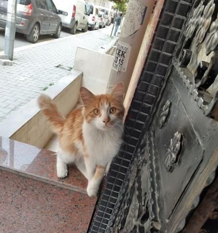 680aee57489bf8b67162a07bda