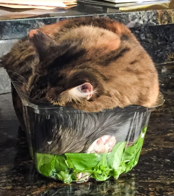 680d805c15a9dd176a58417bfb