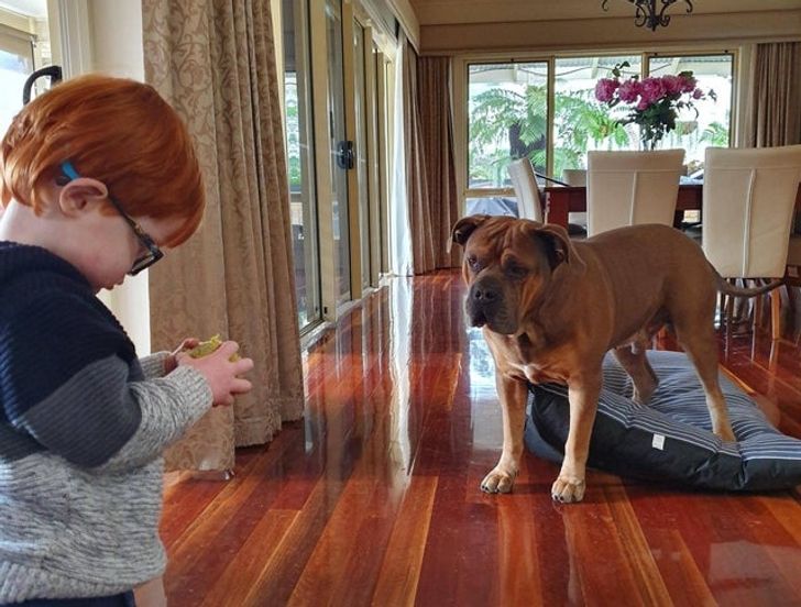 68109f517e929ae2dd361229f8