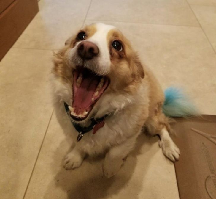 68126550d29ad9cf133ee3e049