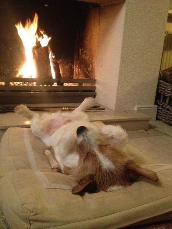 6820e753af98039fff49086b89