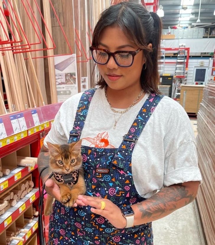 682aea539dae5293df8f303d35