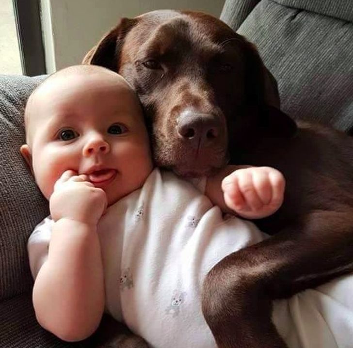 682e5b5c8996205815c7c8e935