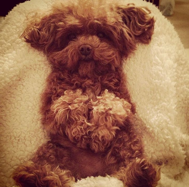 68310e59468a3cadda62211e30