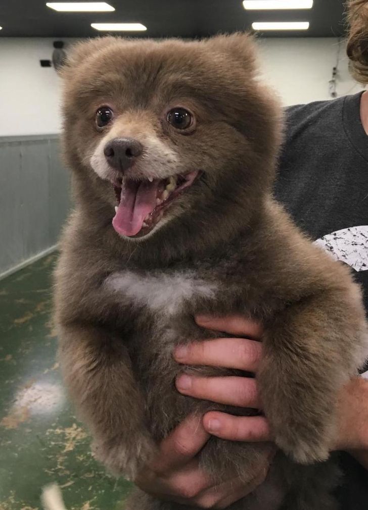 68325a5950b9b9fac5b8c2153b