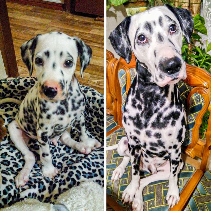 6836ba54ac80bdd3c2af81468d