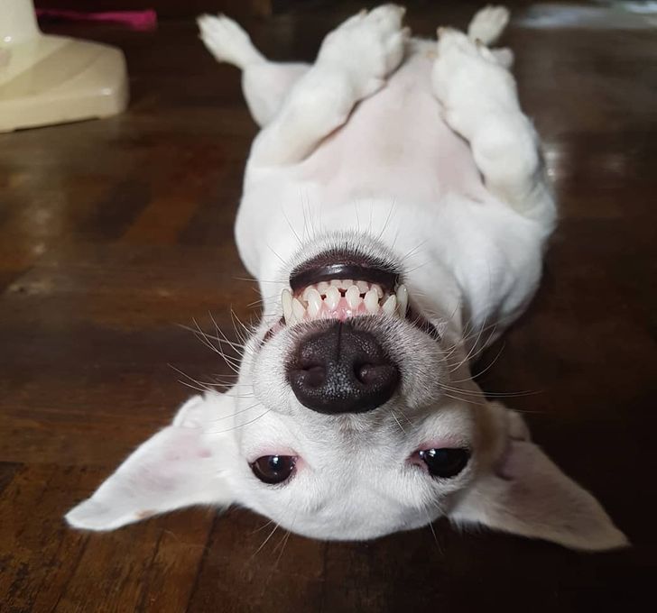 6845f052ecb28be255d9f6fafd