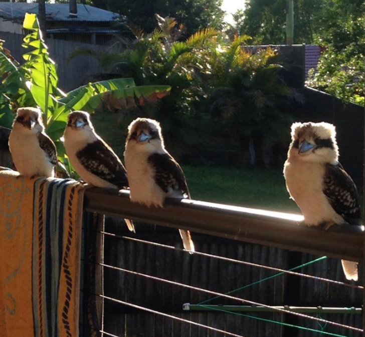 684b8a5e2cb7a6eaeac1c83f91