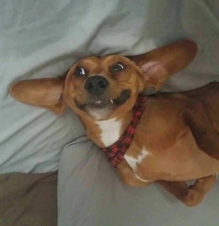 6856695c15ad8a8b59aea9d46b