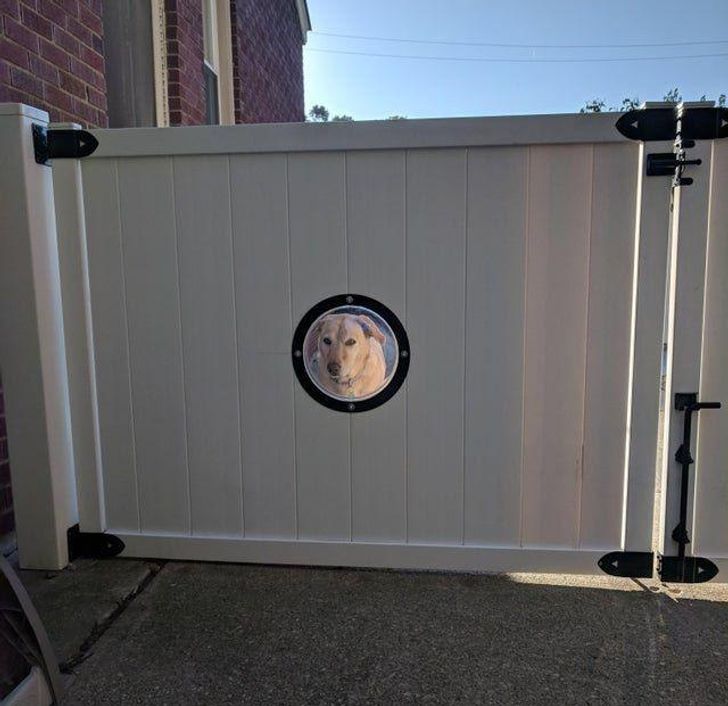 685aa650cb9176124d33116ae0