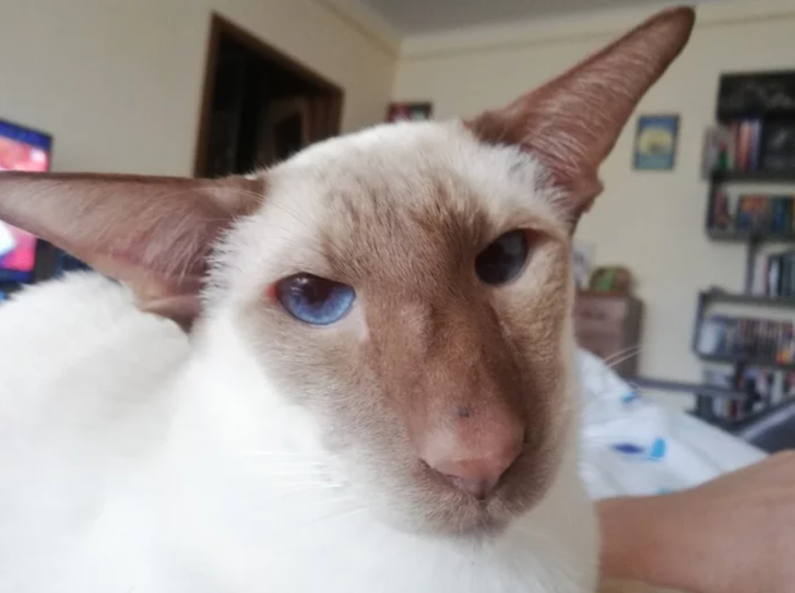 685b95561ea716571620cf3698