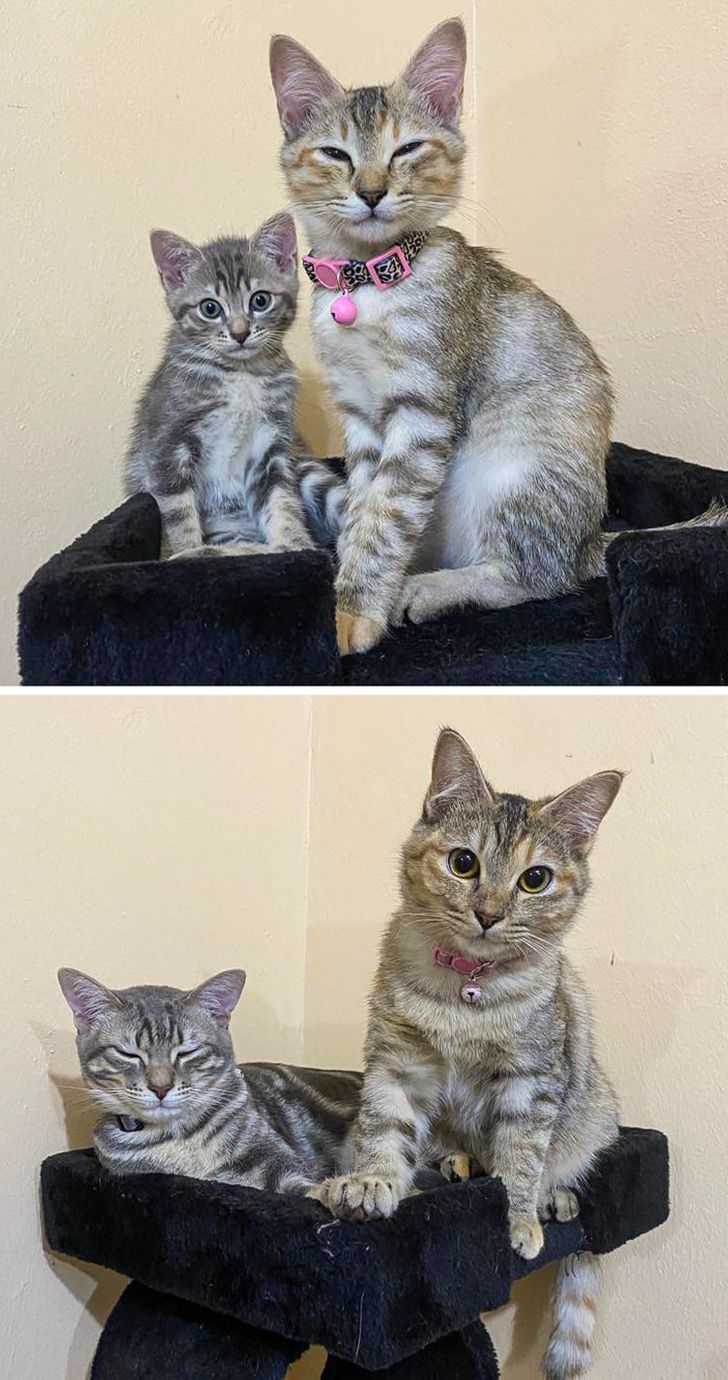 685c665097b8895d1ad27a223d 685c665097b8895d1ad27a223d