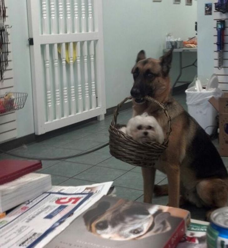 685cfd514186b90052d33120f1